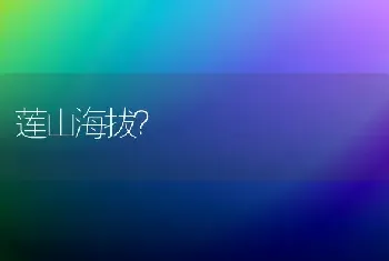 金刚鹦鹉会说话？