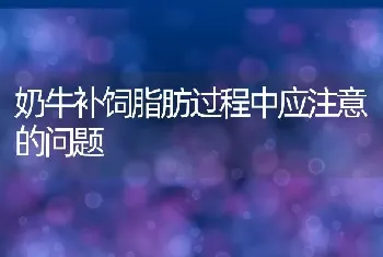 奶牛补饲脂肪过程中应注意的问题