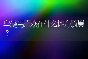 乌鸫鸟喜欢在什么地方筑巢？