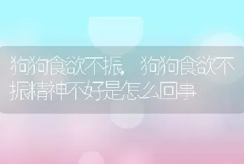 狗狗食欲不振，狗狗食欲不振精神不好是怎么回事