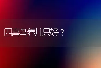 四喜鸟养几只好？