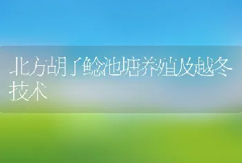 北方胡子鲶池塘养殖及越冬技术