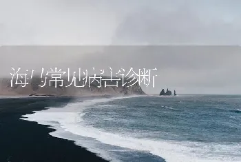 海马常见病害诊断