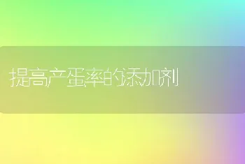 提高产蛋率的添加剂