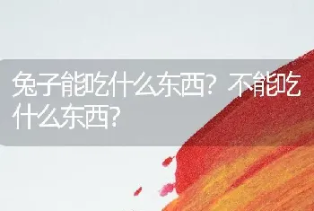 兔子能吃什么东西？不能吃什么东西？