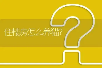 三个月柯基幼犬断尾没有断干净如何补救？