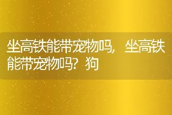 坐高铁能带宠物吗，坐高铁能带宠物吗？狗