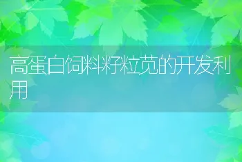 高蛋白饲料籽粒苋的开发利用