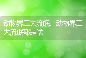 动物界三大流氓，动物界三大流氓都是啥