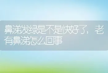 鼻涕发绿是不是快好了，老有鼻涕怎么回事