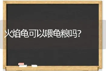 火焰龟可以喂龟粮吗？