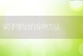 蝎子常见的养殖方法