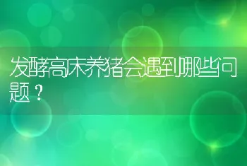 发酵高床养猪会遇到哪些问题？