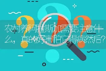 农村养阿拉斯加需要注意什么，真的好害怕它得病然后？