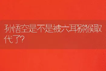 孙悟空是不是被六耳猕猴取代了？