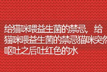 给猫咪喂益生菌的禁忌，给猫咪喂益生菌的禁忌猫咪突然呕吐之后吐红色的水