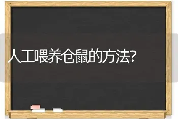 人工喂养仓鼠的方法？