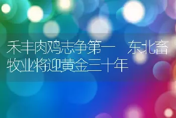 禾丰肉鸡志争第一 东北畜牧业将迎黄金三十年