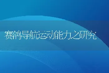 赛鸽导航运动能力之研究