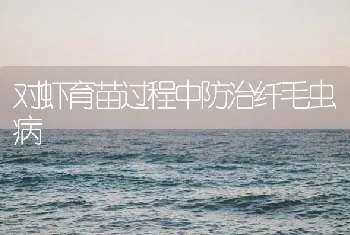 浅水渠养殖淡水小龙虾技术