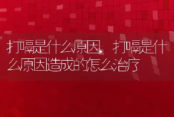 打嗝是什么原因，打嗝是什么原因造成的怎么治疗