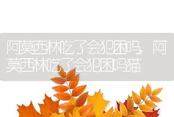 阿莫西林吃了会犯困吗，阿莫西林吃了会犯困吗猫