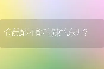 什么样的狗狗适合在楼上喂养呢？