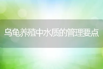 乌龟养殖中水质的管理要点