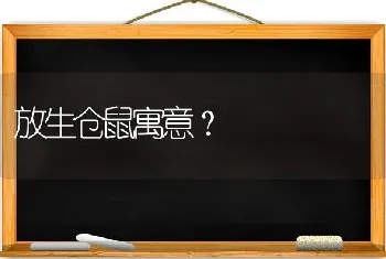 放生仓鼠寓意？