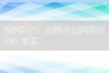 疫病防治：泥鳅养殖病害预防6要素