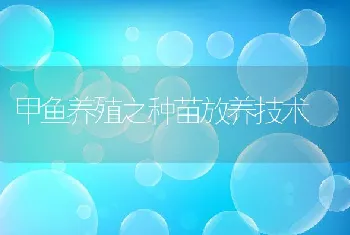 甲鱼养殖之种苗放养技术