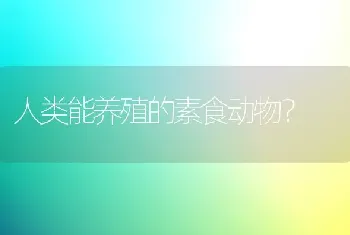 猫咪拉稀了，家人脑袋秀逗了，给它喝青霉素！我担心猫咪会不会挂掉？