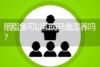 胭脂鱼可以和斑马鱼混养吗？