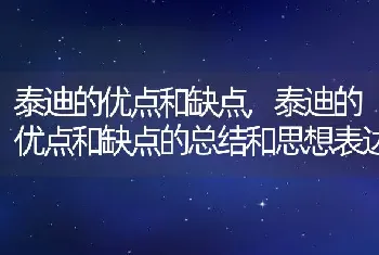 泰迪的优点和缺点，泰迪的优点和缺点的总结和思想表达