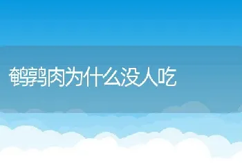 鹌鹑肉为什么没人吃