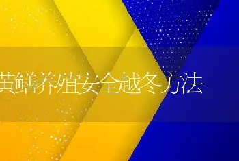 黄鳝养殖安全越冬方法