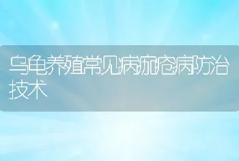 乌龟养殖常见病痂疮病防治技术