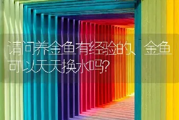 请问养金鱼有经验的、金鱼可以天天换水吗？