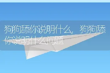 狗狗舔你说明什么，狗狗舔你说明什么问题