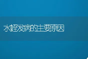 水蛭发病的主要原因