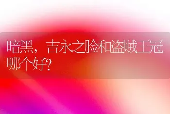 暗黑，吉永之脸和盗贼王冠哪个好？