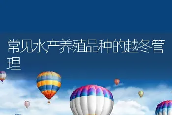 福建省长泰县开展倒刺鲃养殖技术培训