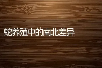 蛇养殖中的南北差异