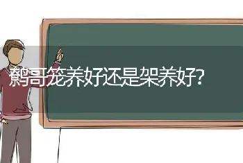 鹩哥笼养好还是架养好？