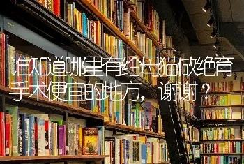 谁知道哪里有给母猫做绝育手术便宜的地方，谢谢？