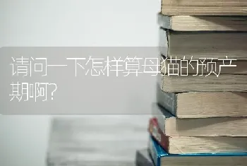 请问一下怎样算母猫的预产期啊？