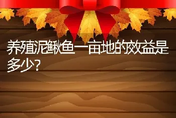 养殖泥鳅鱼一亩地的效益是多少？