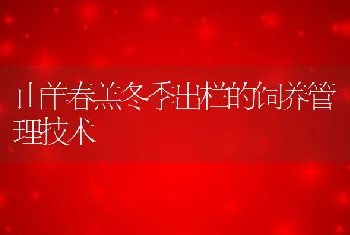 山羊春羔冬季出栏的饲养管理技术