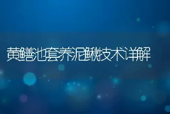 黄鳝池套养泥鳅技术详解