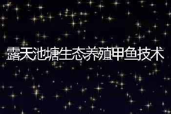 露天池塘生态养殖甲鱼技术